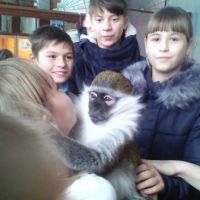 Зоопарк