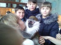 Зоопарк