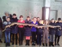 Зоопарк