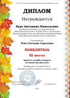 Наши достижения