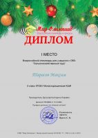 Наши достижения