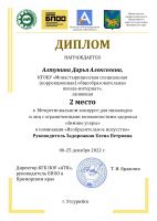 Наши достижения