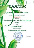 Наши достижения
