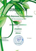 Наши достижения