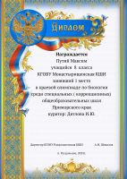 Наши достижения