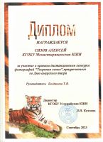 Участие в конкурсе фотографий "Тигринная семья"