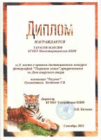 Участие в конкурсе фотографий "Тигринная семья" 