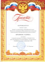 Олимпиада по истории Стражи Руси