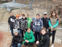 Поездка в Приморский Океанариум