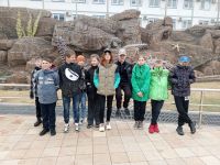Поездка в Приморский Океанариум