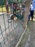 Поездка в парк отдыха "Чудесный" с. Борисовка