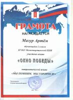 Патриотическая акция "Окна победы"