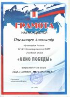 Патриотическая акция "Окна победы"